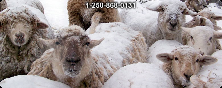 All Outdoor Clothing and Leather Goods - Bushcraft Ontario