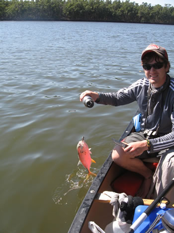 F1 in Florida - Photo 1