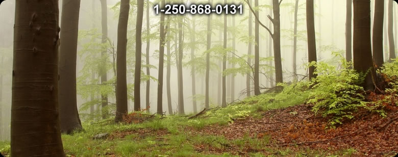 Bushcraft Ontario photo