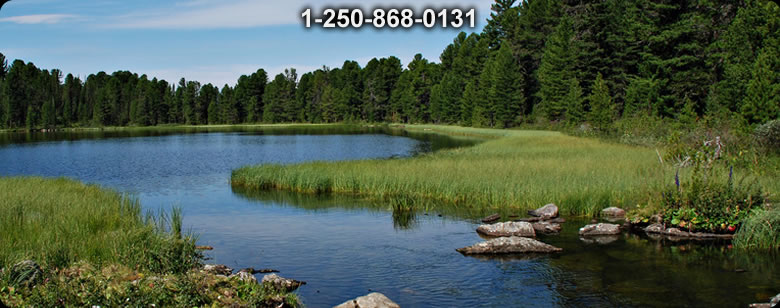 Bushcraft Ontario photo