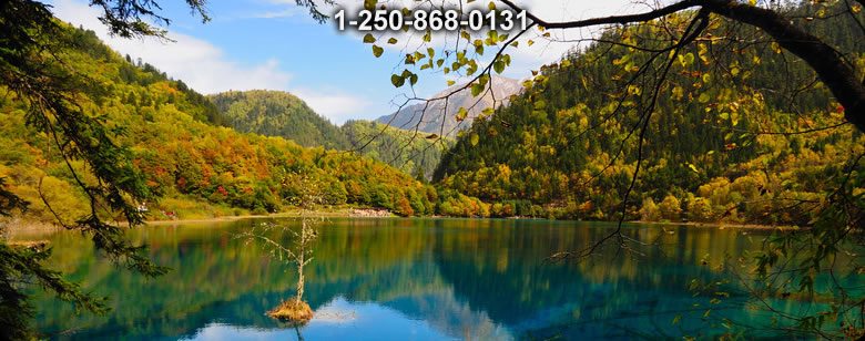 Bushcraft Ontario photo