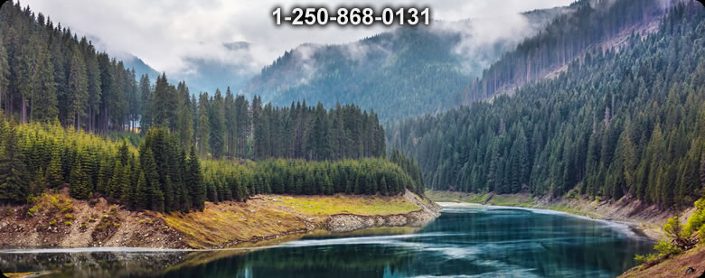 Bushcraft Ontario photo