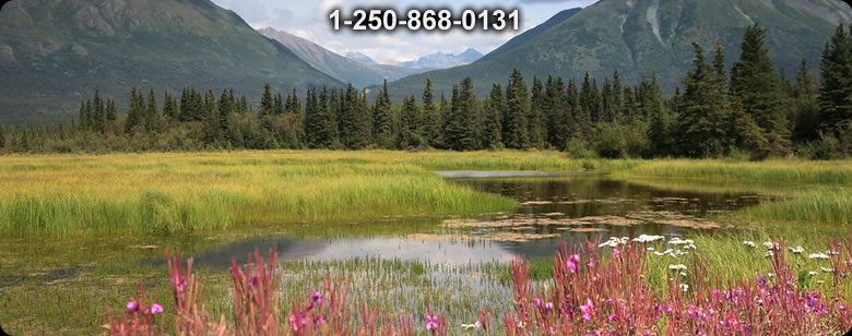 Bushcraft Ontario photo