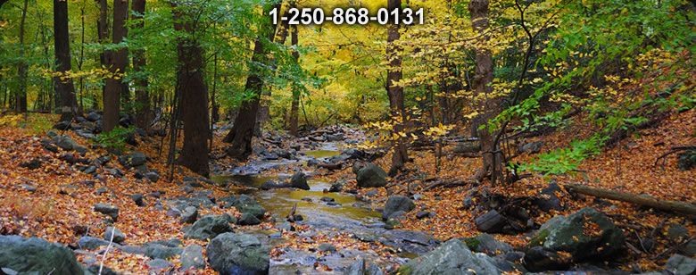 Bushcraft Ontario photo