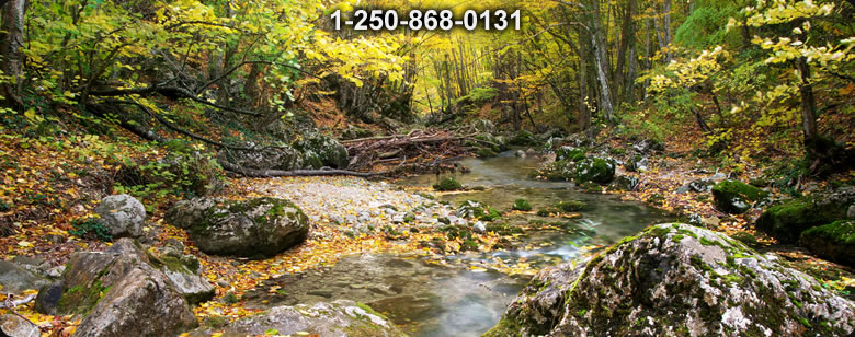 Bushcraft Ontario photo