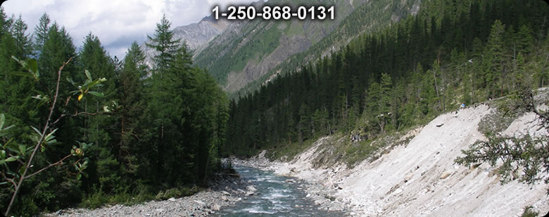 Bushcraft Ontario photo