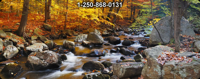 Bushcraft Ontario photo