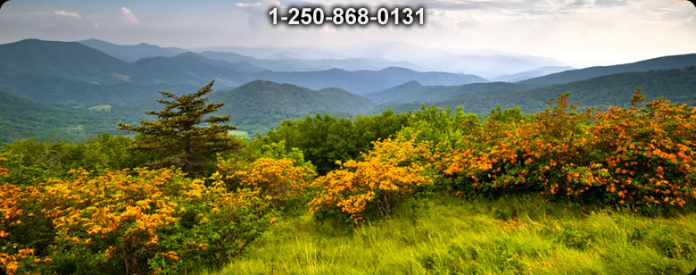 Bushcraft Ontario photo