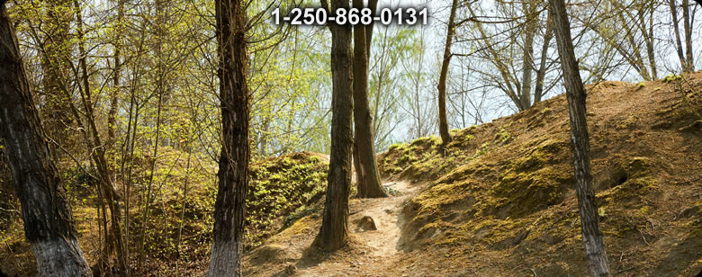 Bushcraft Ontario photo