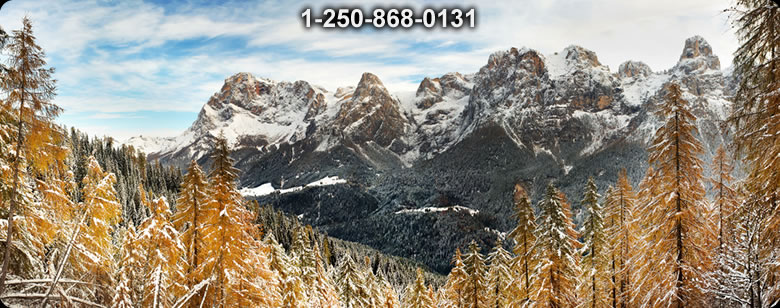 Bushcraft Ontario photo