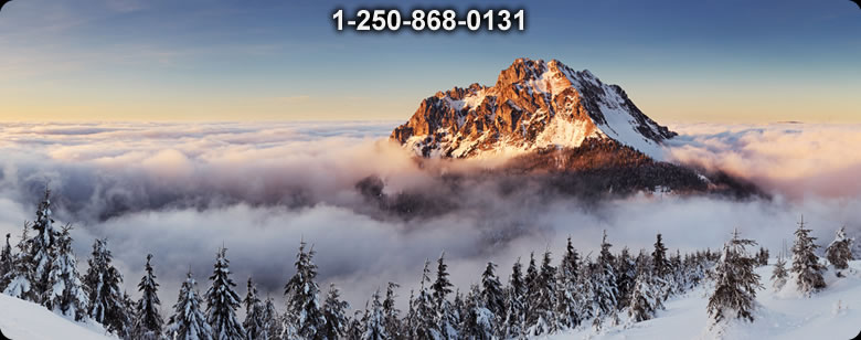 Bushcraft Ontario photo