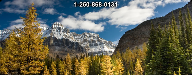 Bushcraft Ontario photo