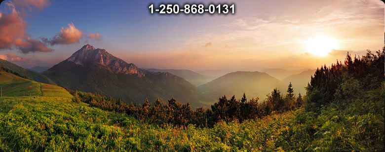 Bushcraft Ontario photo