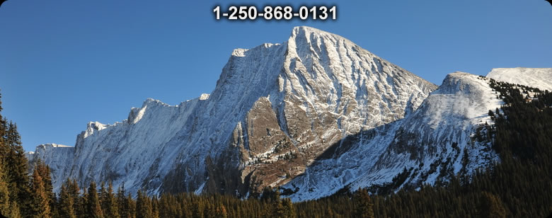 Bushcraft Ontario photo