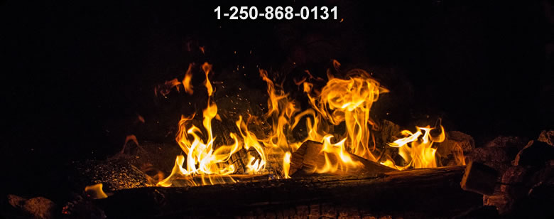 Bushcraft Ontario photo