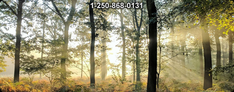 Bushcraft Ontario photo