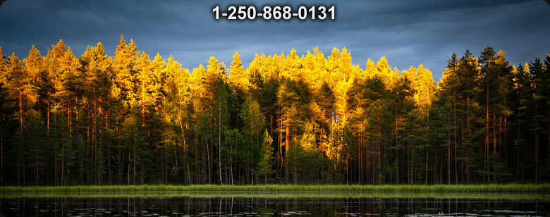 Bushcraft Ontario photo